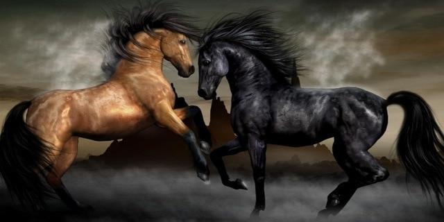 Two Horses Dancing Pictures Canvas Posters and Prints Wall Art-Unframed-A-Dablew11